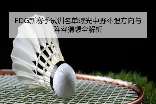 EDG新赛季试训名单曝光中野补强方向与阵容猜想全解析
